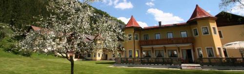 Hotel Waldesruh - image 8