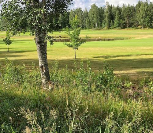 Honeyhill Villa Karhu in Kouvola