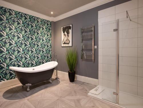 Alma Apartments In A Perfect Location 5