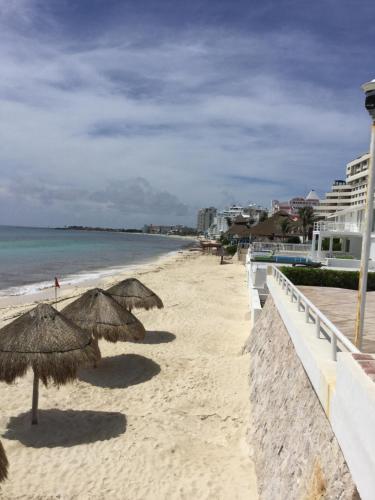 suite brisas