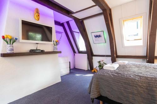 夫人咖啡民宿評價、特色體驗、房價資訊、訂房連結 – 溫馨海景與動物友善 - 照片 15