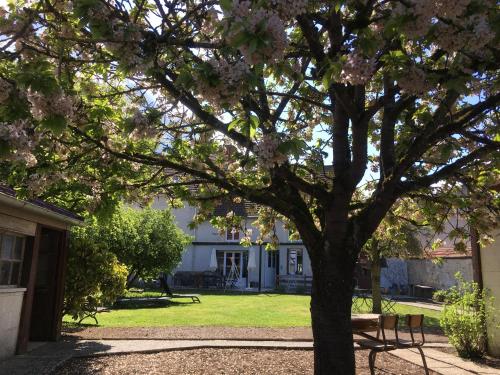 Au 49 chambre d'hôte Vauciennes