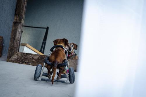 marival armony resort and suites punta de mita carretera a punta de mita km 83 sn lote 5a la cruz de