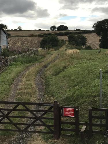 Twizell Lane