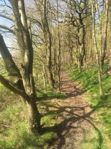 Twizell Lane