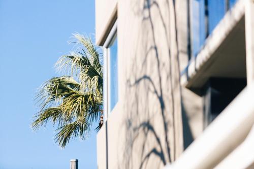 Best Western Haven Glebe - image 9