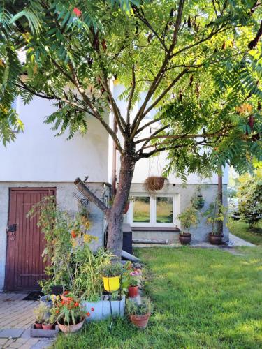 Rustykalny Apartament