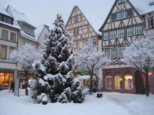 Surrounding environment, Tauber Sonnen Lodge in Tauberbischofsheim