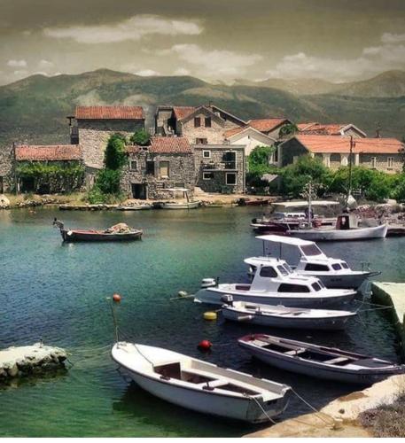 Apartment Dream Summer 2 - Tivat