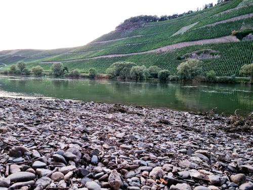 FeWo Sonnenlay - Apartments an der Mosel