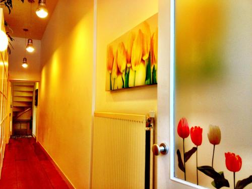Tulip of Amsterdam - image 2