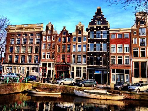 Tulip of Amsterdam - image 12