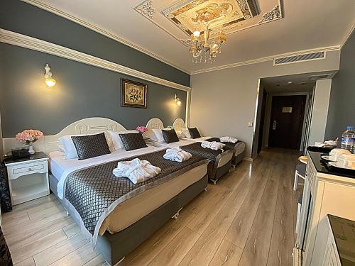 Gülhanepark Hotel & Spa, Istanbul (fotografie 10)