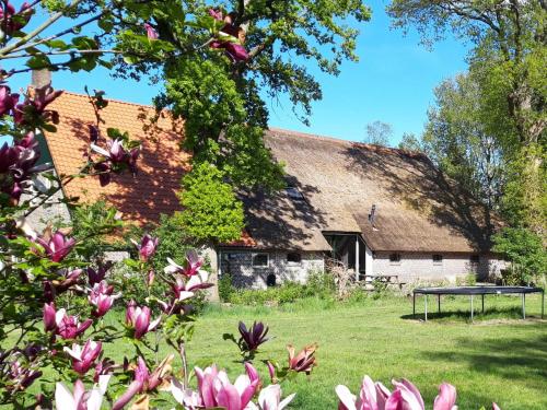 Sfeervolle vakantiewoning midden in het Drents-Friese Wold