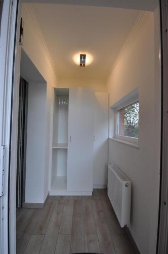 One-Bedroom Apartment image 10