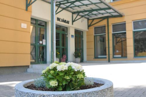 Alföld Gyöngye Hotel in Orosháza