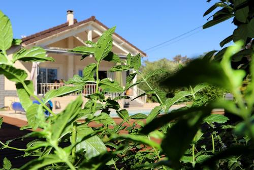 Maison les coquelicots photo 19