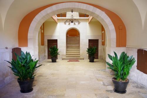 La Cattedrale - Accommodation - Ruvo di Puglia