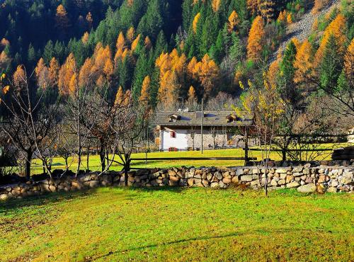 Photo - Maso Franceschella