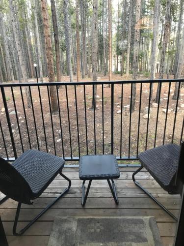 Beaver Village Apartment in Winter Park, USA