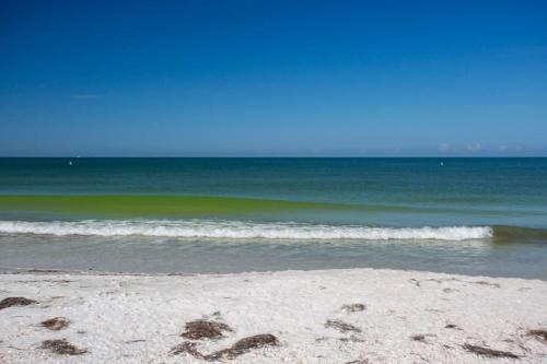 1 - Beach Club At Pass-A-Grille - image 8