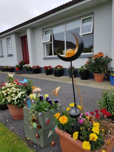 Hillgrove House in Boyle