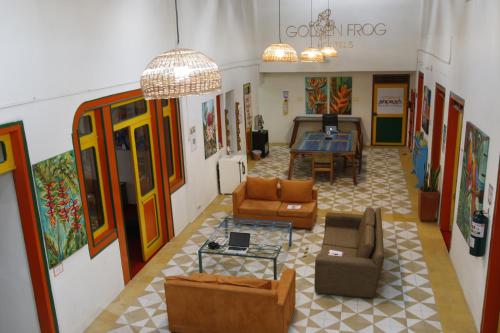 로비, Golden Frog Manizales in 마니살레스