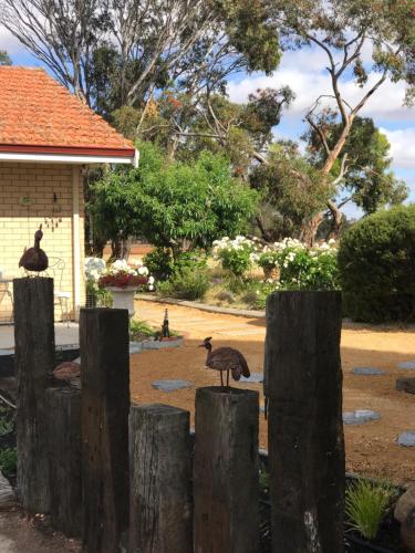 Yellow Gum Bed and Breakfast