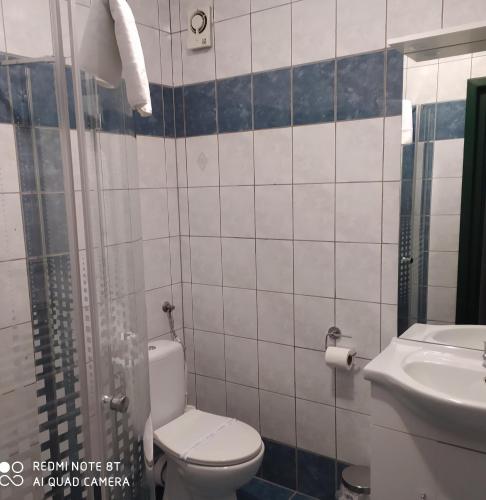 Bacchus Panzió Hotel - image 7
