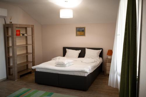 Vikings Grigo Apartaments - image 4