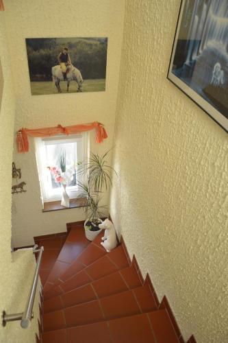 Ferienwohnung Auszeit Waxweiler - image 5