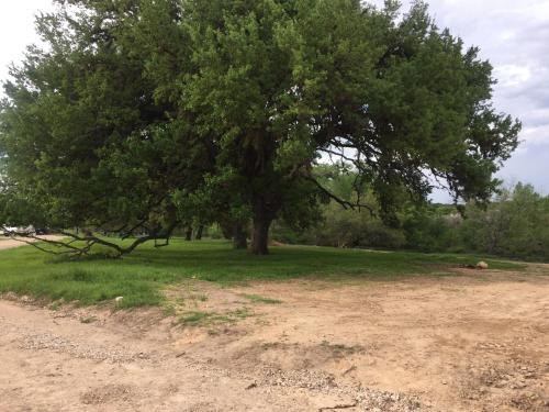 Bandera Crossing Resort - image 3