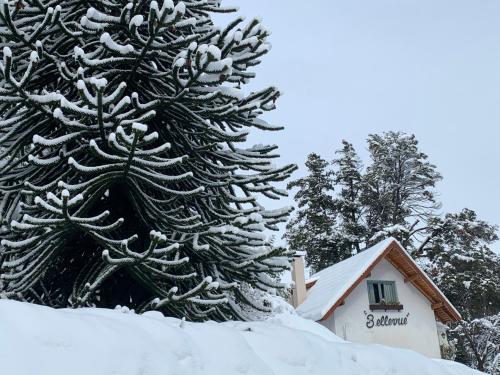 Bellevue, San Carlos de Bariloche (foto 10)