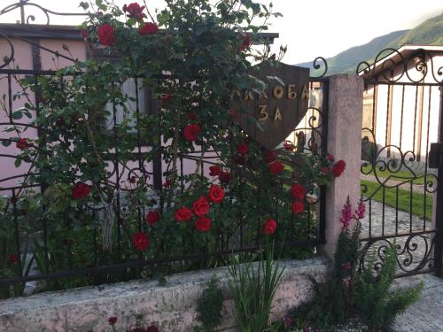 Guest House Gelios