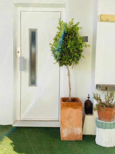Ático Suite con terraza totalmente privada en pleno centro histórico de Sevilla, Sevilla (Foto 7)
