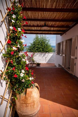 B&B Casabianca Palinuro 5