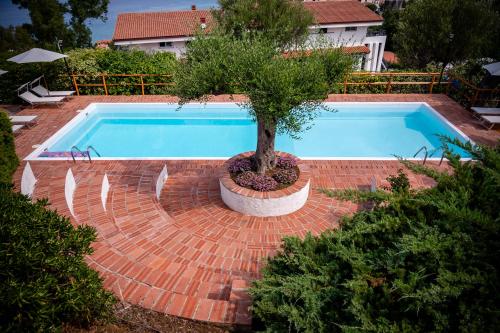 B&B Casabianca Palinuro – Palinuro, UT