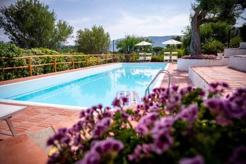 B&B Casabianca Palinuro 4