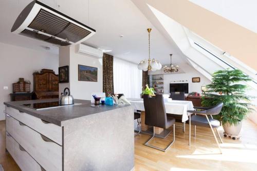 Großes Penthouse #12 mit Terrasse und Aussicht, Vídeň (fotografie 3)