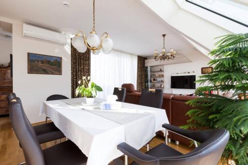 Großes Penthouse #12 mit Terrasse und Aussicht, Vídeň (fotografie 8)