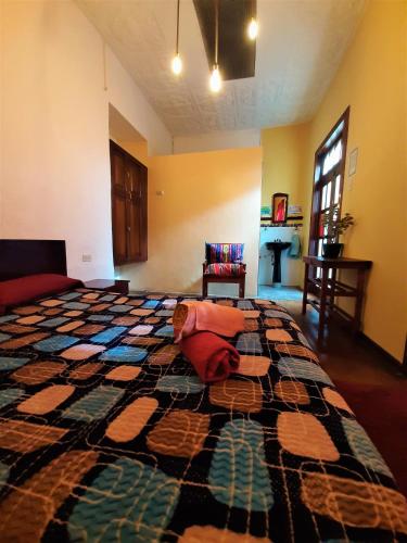 Anicha Hostel - image 9