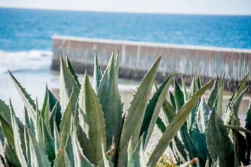 BEACHFRONT Cozy Relaxation 1 BDR