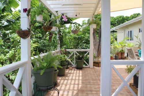 Dotări, Tropical Garden Cottage Antigua in Antigua and Barbuda