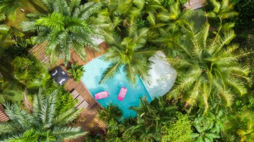 . Monkey Lodge Panama
