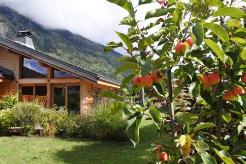 Grand chalet Le Trappeur - Chamonix