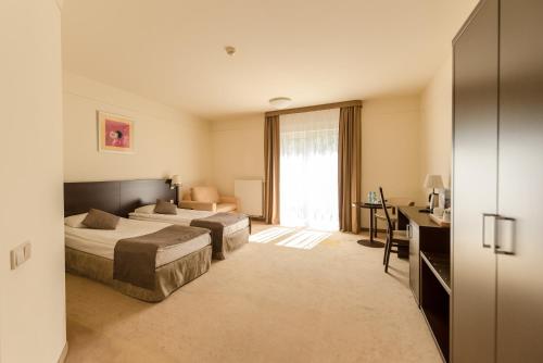 Deluxe Double or Twin Room image 4