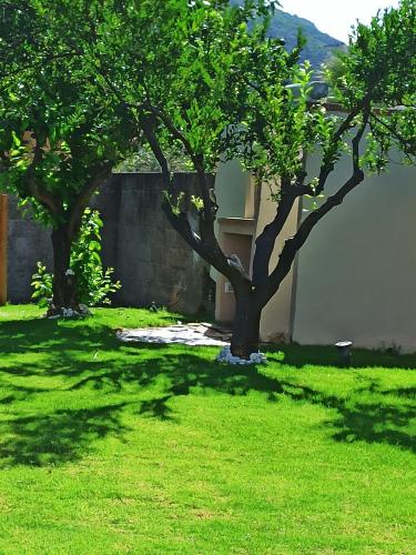  ALBELDI' in Domus de Maria