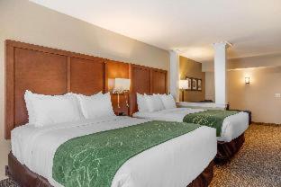 Comfort Inn & Suites Schenectady -Scotia