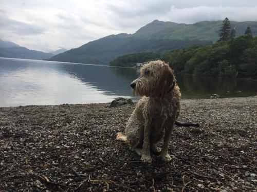 Ben Lomond Lodge