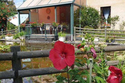 Studio, Véranda, Jardin de l'abondance gîte à louer Golf de l'Hippodrome